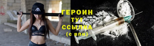 тгк Ельня