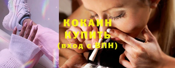 тгк Ельня