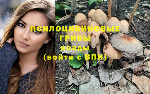 тгк Ельня