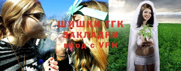 тгк Ельня