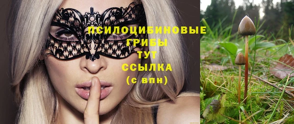 тгк Ельня