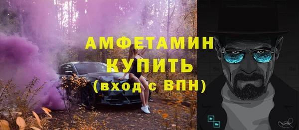 тгк Ельня