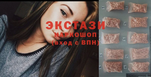 тгк Ельня