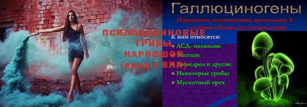 тгк Ельня